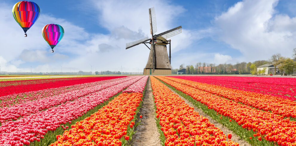 JEWELS OF EUROPE_Gardens from Munich (1)